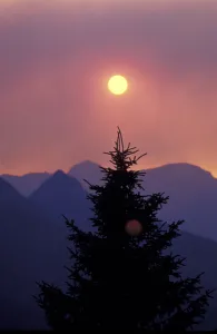 Images Dated 12th May 2004: NA, USA, Montana, Glacier NP Sunset through forest fire smoke