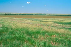 Rolling Hills Prints: NA, USA, NE. Grasslands