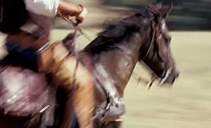 Cow Boy Prints: NA, USA, Oregon, near Mosier, motion blur cowboy, (MR)