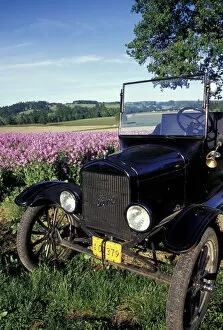 Images Dated 4th November 2004: NA, USA, Oregon, near Silverton Model-T Ford in field with dames rocket PR