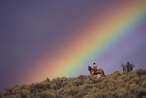 NA, USA, Oregon, Seneca, Ponderosa Ranch, Rainbow and cowboy