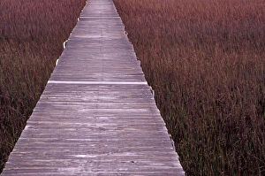 Images Dated 5th April 2004: N.A. USA, South Carolina, Charleston. Pier over grasses on Isle of Palm