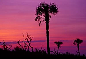 Images Dated 5th April 2004: N.A. USA, South Carolina, Charleston. Sunset near Folley Beach