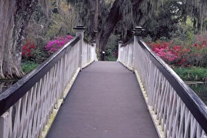 Images Dated 5th April 2004: N.A. USA, South Carolina, Charleston. Magnolia Plantation & Gardens. Long White