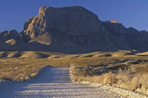 N.A. USA, Texas. Big Bend National Park. Chisos Mountains, Government springs road