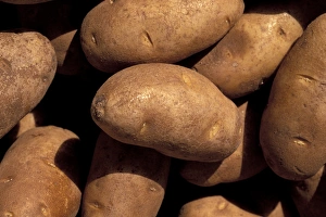 Images Dated 2nd June 2011: NA, USA, Texas, Forst Worth At Main Street Fiesta, detail of potatoes at french