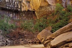 Images Dated 14th April 2004: N.A. USA, Utah, Zion National Park. Upper Emerald Pool