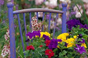 NA, USA, WA, KingCounty, Seattle, Garden, Mixed Flowers & Old Chair