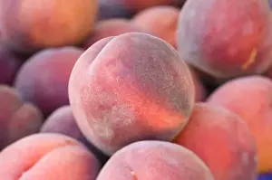 Peach Prints: NA; USA; Washington; Chelan; Peaches (selective focus)