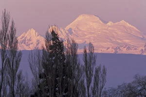Images Dated 10th May 2004: NA, USA, Washington, Conway, Skagit Valley. Mt. Baker seen at dawn from the Skagit Valley