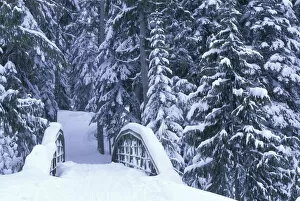 Images Dated 29th March 2004: NA, USA, Washington, Eastern Washington Snow-covered bridge and fir trees, winter