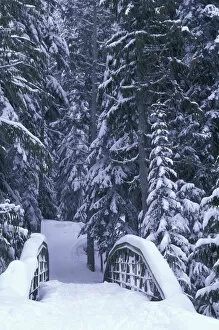 Images Dated 29th March 2004: NA, USA, Washington, Eastern Washington Snow-covered bridge and fir trees, winter