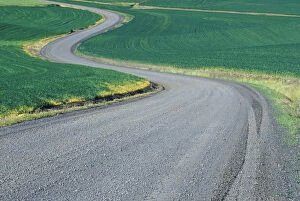 NA, USA, Washington, Eastern Washington Curved roadway in wheat field