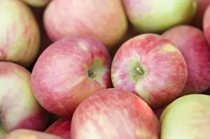 Apple Prints: NA; USA; Washington; Lake Chelan; Honeycrisp apples (selective focus)