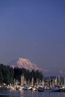 NA, USA, Washington Marina with Mt. Rainier in background
