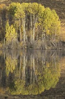 NA, USA, Washington, Methow Valley, near Winthrop Fall colors