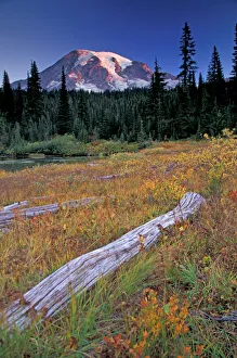 Images Dated 5th January 2005: NA, USA, Washington, Mount Rainier NP, Refleced Lakes Area, meadow with logs