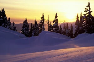 Images Dated 8th March 2004: N.A. USA, Washington, Mt. Rainier Nat l Park Sunset at Paradise, view