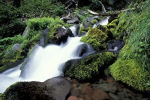 Images Dated 14th April 2004: NA, USA, Washington, Mt. Rainier NP Mountain stream