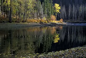 Reflect Prints: NA, USA, Washington, North Cascade Mountains Fall color at Little Eight-Mile Lake