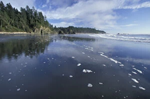 Images Dated 28th January 2004: N.A. USA, Washington, Olympic Nat l Park Ruby Beach