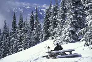 Mountainside Prints: NA, USA, Washington, Olympic NP Cross-country skier at Hurricane Ridge