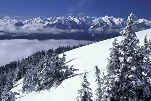 NA, USA, Washington, Olympic NP Olympic Mountain Range after a winter snow storm