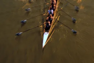 Images Dated 8th April 2005: NA, USA, Washington, Seattle, Crew Rowing in Motion