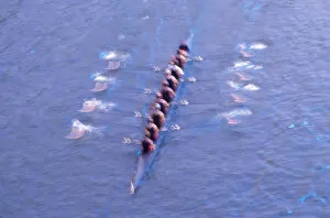 NA, USA, Washington, Seattle, Crew Rowing in Motion