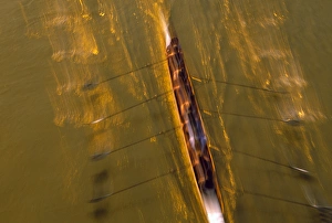 Images Dated 8th April 2005: NA, USA, Washington, Seattle, Crew Rowing in Motion