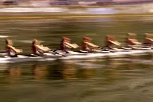 Images Dated 8th April 2005: NA, USA, Washington, Seattle, Crew Rowing in Motion