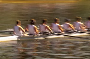 Images Dated 8th April 2005: NA, USA, Washington, Seattle, Crew Rowing in Motion