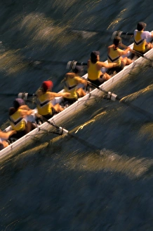 Images Dated 8th April 2005: NA, USA, Washington, Seattle, Crew Rowing in Motion