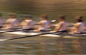 Images Dated 8th April 2005: NA, USA, Washington, Seattle, Crew Rowing in Motion