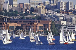N.A. USA, Washington, Seattle Sail boat race, Lake Union