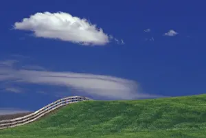 Simple Prints: NA, USA, Washington, west of Dusty Greens and fenceline with cloud