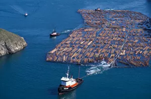 Images Dated 5th January 2005: NA, USA, Washington, Whidbey Island, Tug towing log boom through Deception Pass