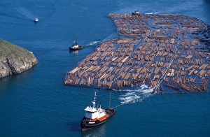 Images Dated 5th January 2005: NA, USA, Washington, Whidbey Island, Tug towing log boom through Deception Pass