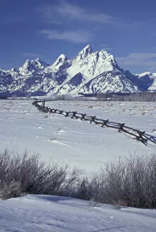 Images Dated 24th August 2004: NA, USA, Wyoming, Grand Teton National Park. Grand Tetons and fenceline