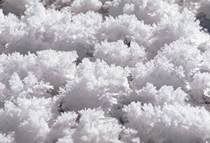 N.A. USA, Wyoming, Oxbow Bend Grand Teton National Park Ice Crystals