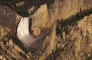 Images Dated 24th August 2004: NA, USA, Wyoming, Yellowstone National Park. Lower Yellowstone Falls and Grand Canyon