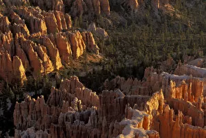Images Dated 25th February 2004: NA, Utah, Bryce Canyon National Park