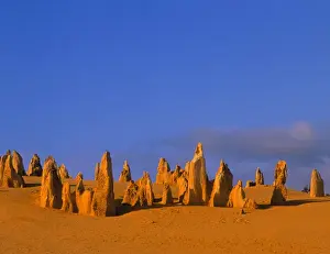 National Parks Prints: Nambung National Park (Pinnacles Desert) near Cervantes, West Australia