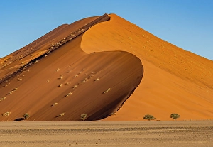 Sand Dune Prints: Namib-Naukluft Park, Namibia, Africa