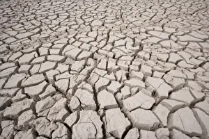 Back Ground Prints: Namibia, Etosha National Park. Cracked mud in dried water hole at edge of Etosha Pan