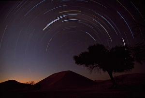 Images Dated 18th July 2011: Namibia, Namib Naukluft National Park, Star Trails and Dune 45 above acacia tree