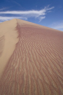 Images Dated 29th January 2008: Namibia, Skeleton Coast Wilderness, Wind blown sand forms patterns in sand dunes