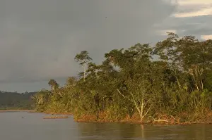 Napo River. near Coca (San Franciso de Orellana) Town. Amazon Rain Forest. ECUADOR