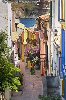 Images Dated 25th June 2006: A narrow street in the old town. Collioure. Roussillon. France. Europe. Colourful houses