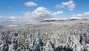 Germany Gallery: National Park Bavarian Forest (Bayerischer Wald) in the deep of winter. View towards mount Lusen